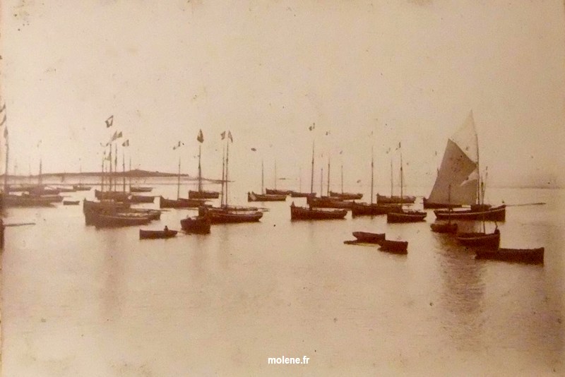 canots pavoisés dans le port de molene