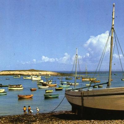 Bateaux De Molene Le Petit Mousse
