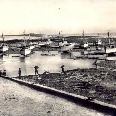 Le Port De Molene A Maree Basse Editions C.lambert