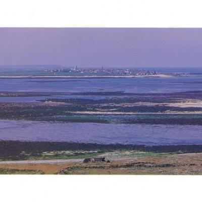 Archipel De Molene Editions Penn Ar Bed Photo Jm Malgorn