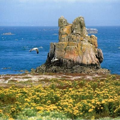 Ile De Banneg Archipel De Molene Editions Jack Ref412