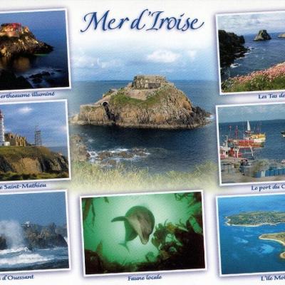 Mer Diroise Editions Dartjack Ref 292