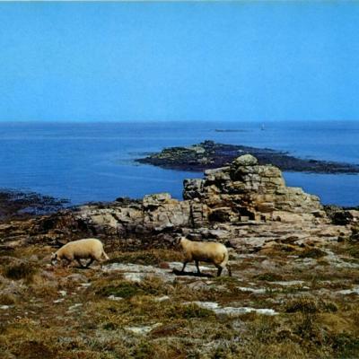 Molene La Cote Sauvage Editions Artaud Ref28 Xn157