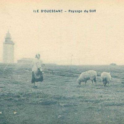 Ouessant Stiff Paysage