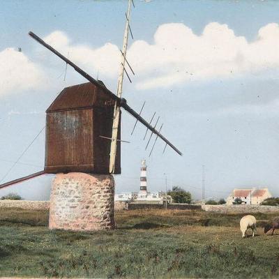 Creach Petit Moulin Gaby Colorise