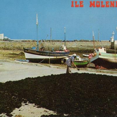 Molene Le Port Editions Artaud Ref22