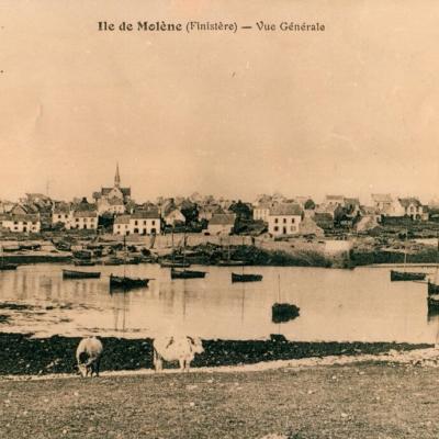 Molène - Vue générale E. Le Bihan