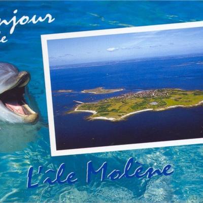 Vue Aerienne De Molene Editions D Art Jack Ref12314