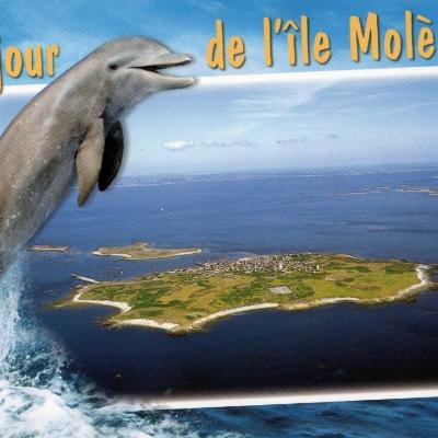 Vue Aerienne De Molene Editions Dartjack Ref12314