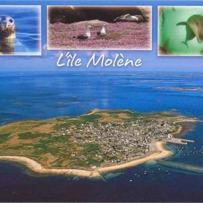 Vue Aerienne De Molene Faune Editions D Art Jack Ref13054